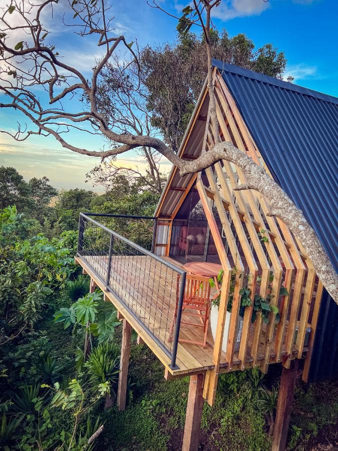Casa 1800 Los Naranjos Boutique Hotel Ngoại thất bức ảnh