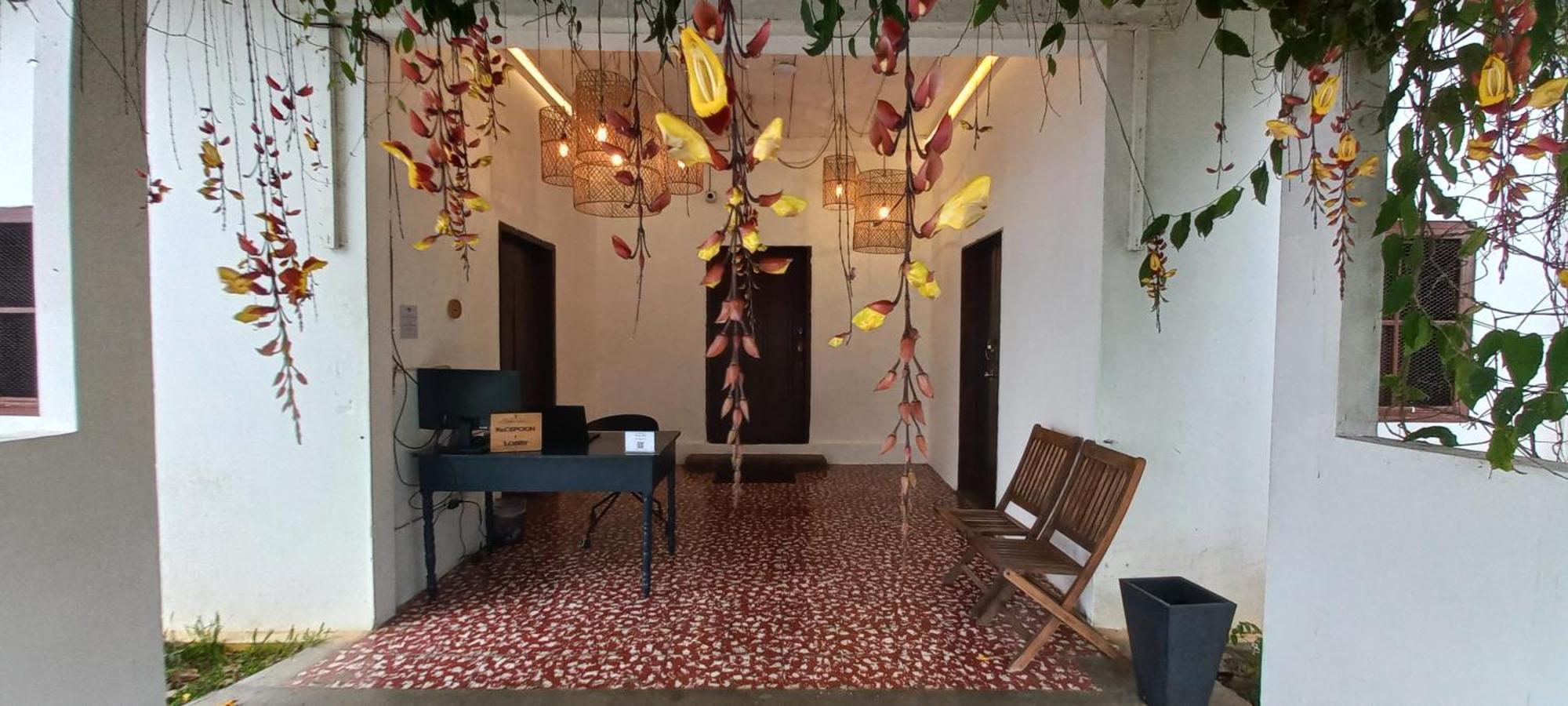 Casa 1800 Los Naranjos Boutique Hotel Ngoại thất bức ảnh